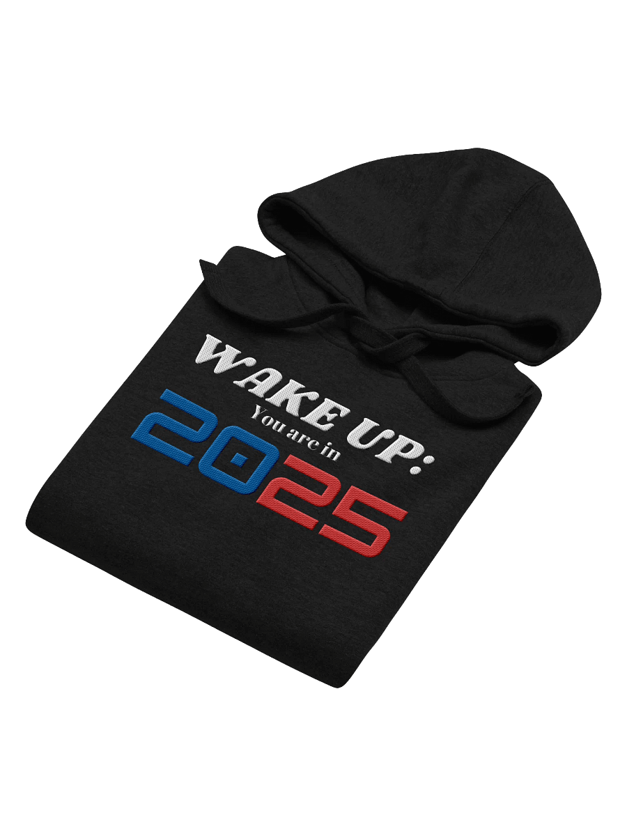 Wake Up: You Are In 2025 Embroidered Design To Cheers New Year Unisex Hoodie product image (50)