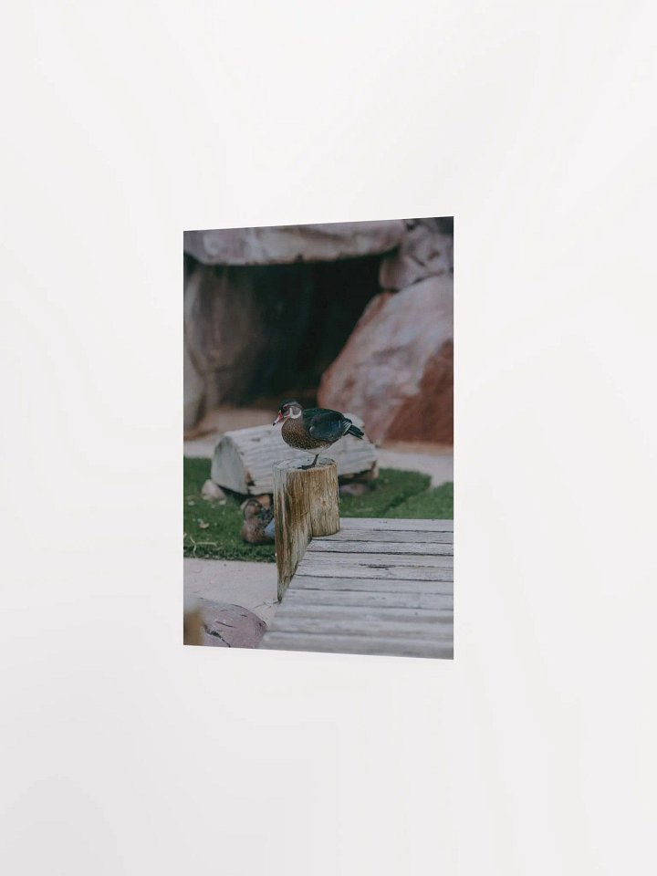 Bird #1 product image (8)