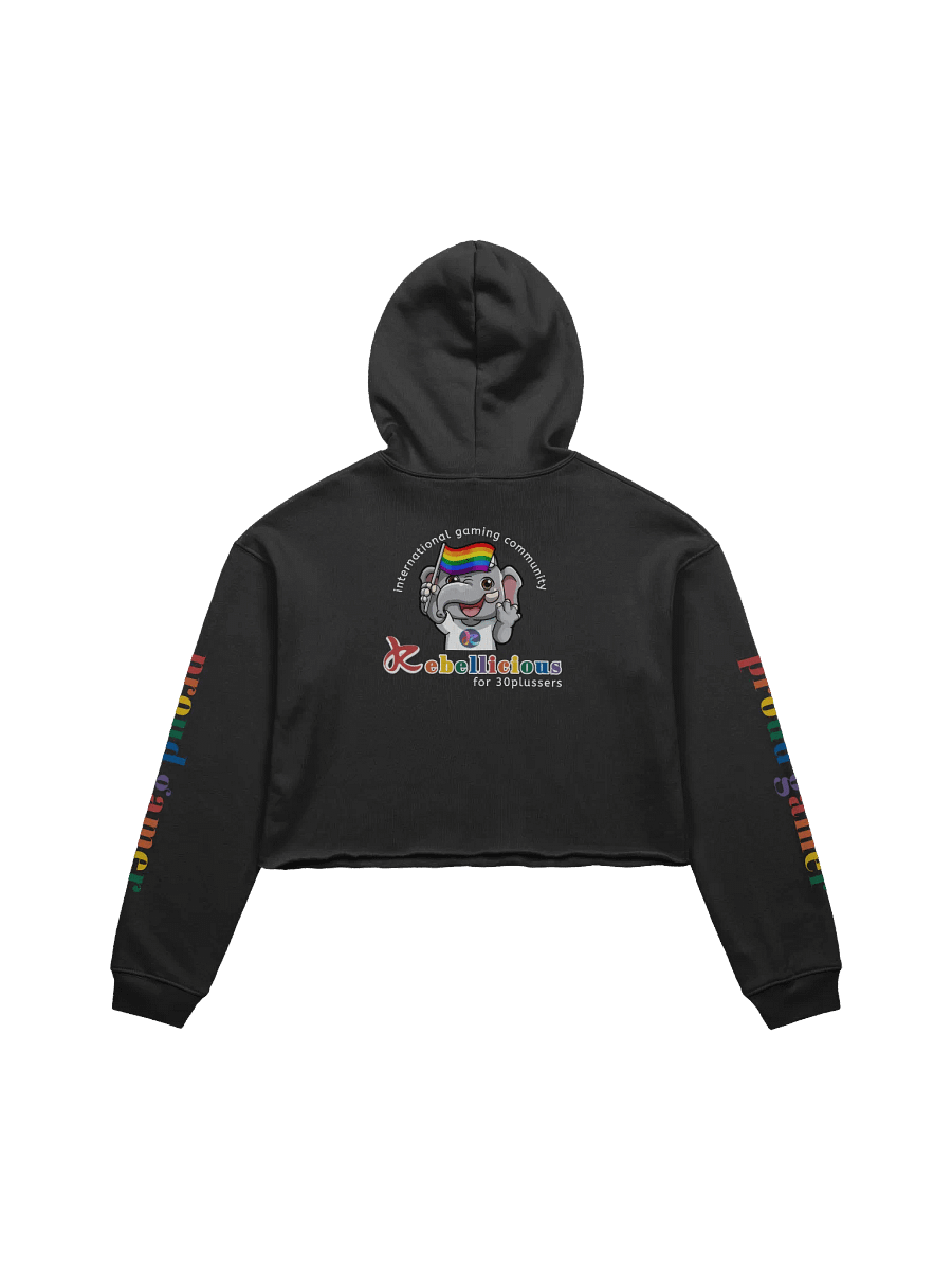 Pride Crop Hoodie product image (4)