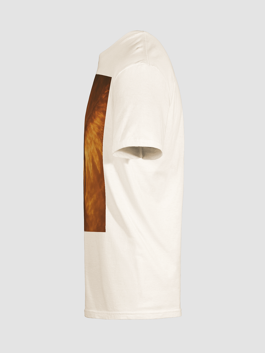 Wrath Worth product image (25)