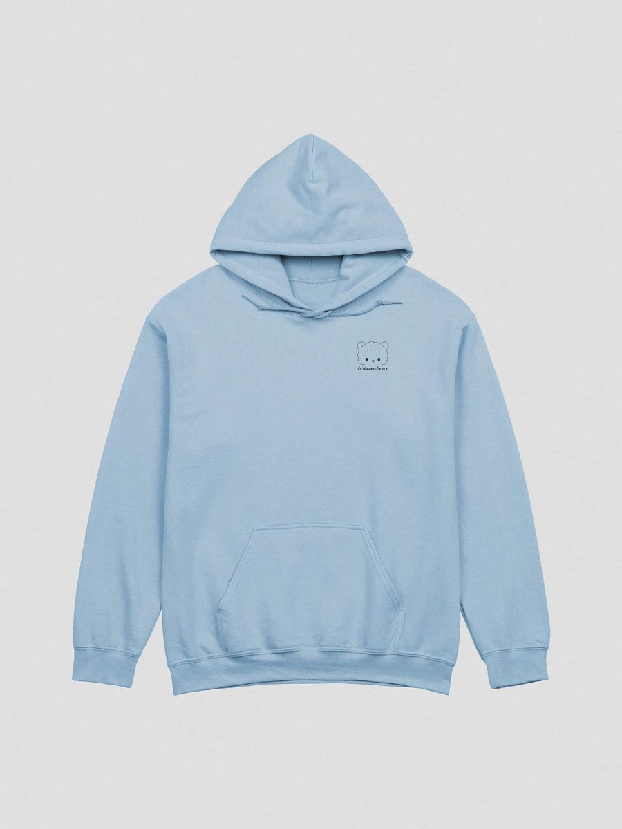 theambear hoodie product image (1)