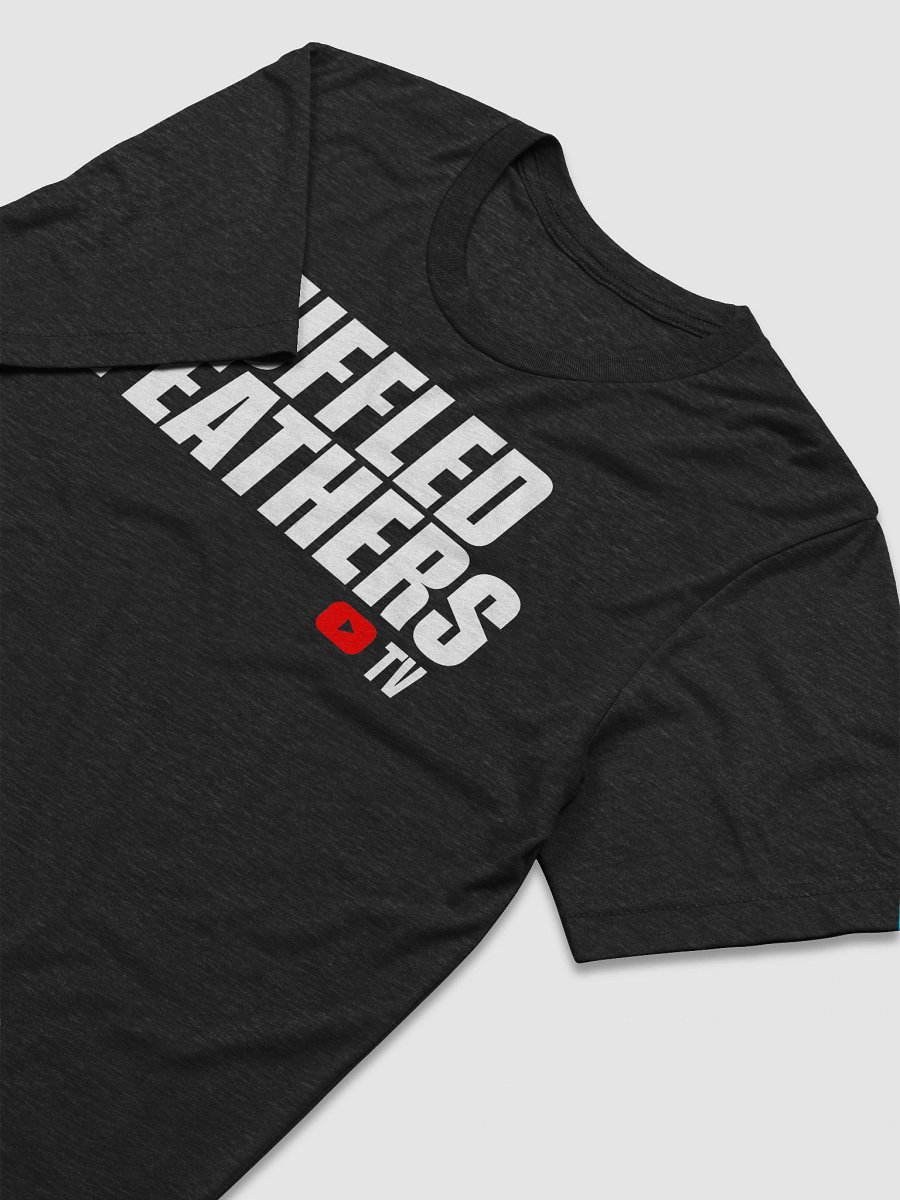RUFFLED FEATHERS TEE V2 product image (11)
