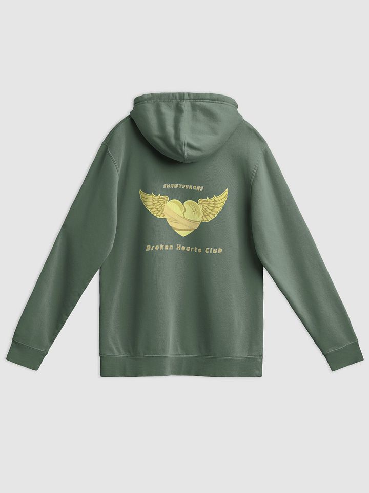 Washed Out by Sunlight Pigment Hoodie product image (19)