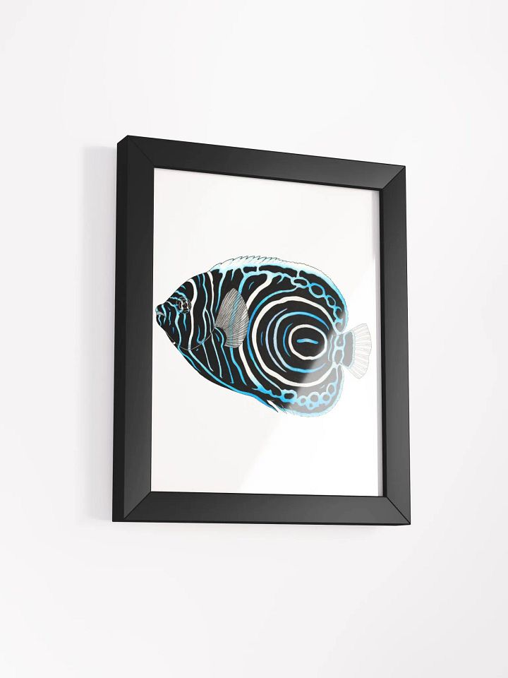 Angelfish framed print product image (2)