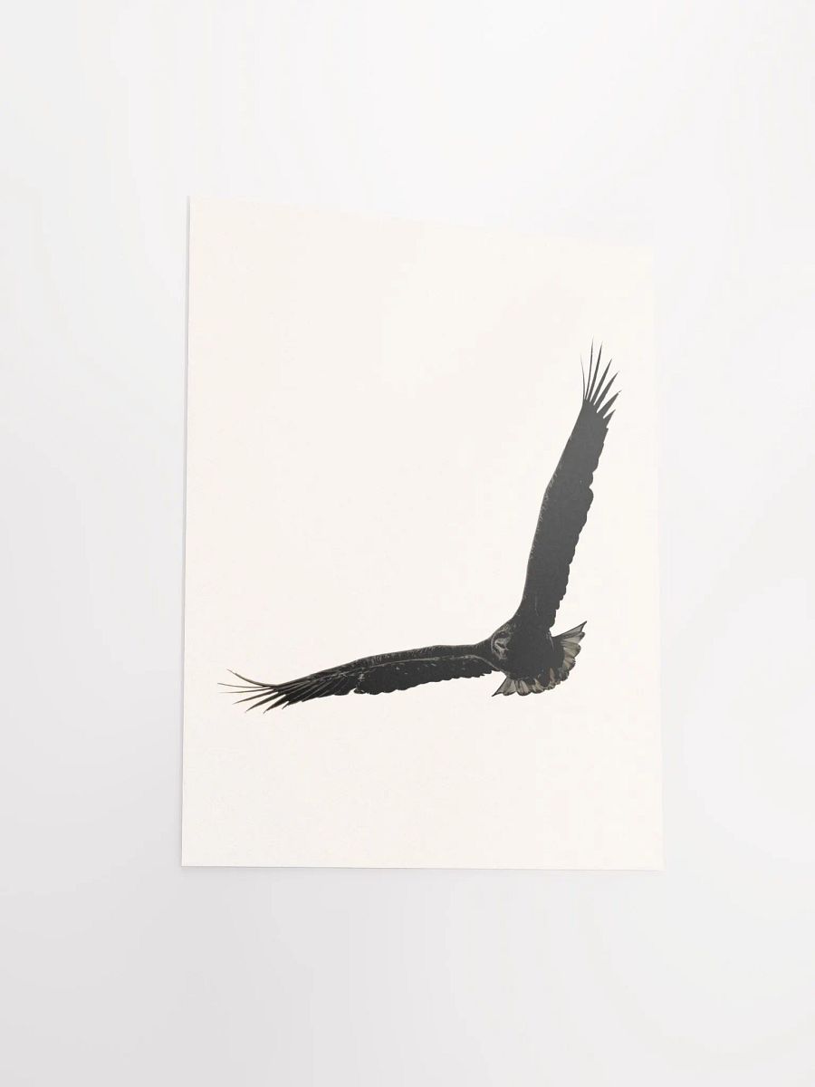 Flight of the Silhouette: Matte Poster Print product image (27)