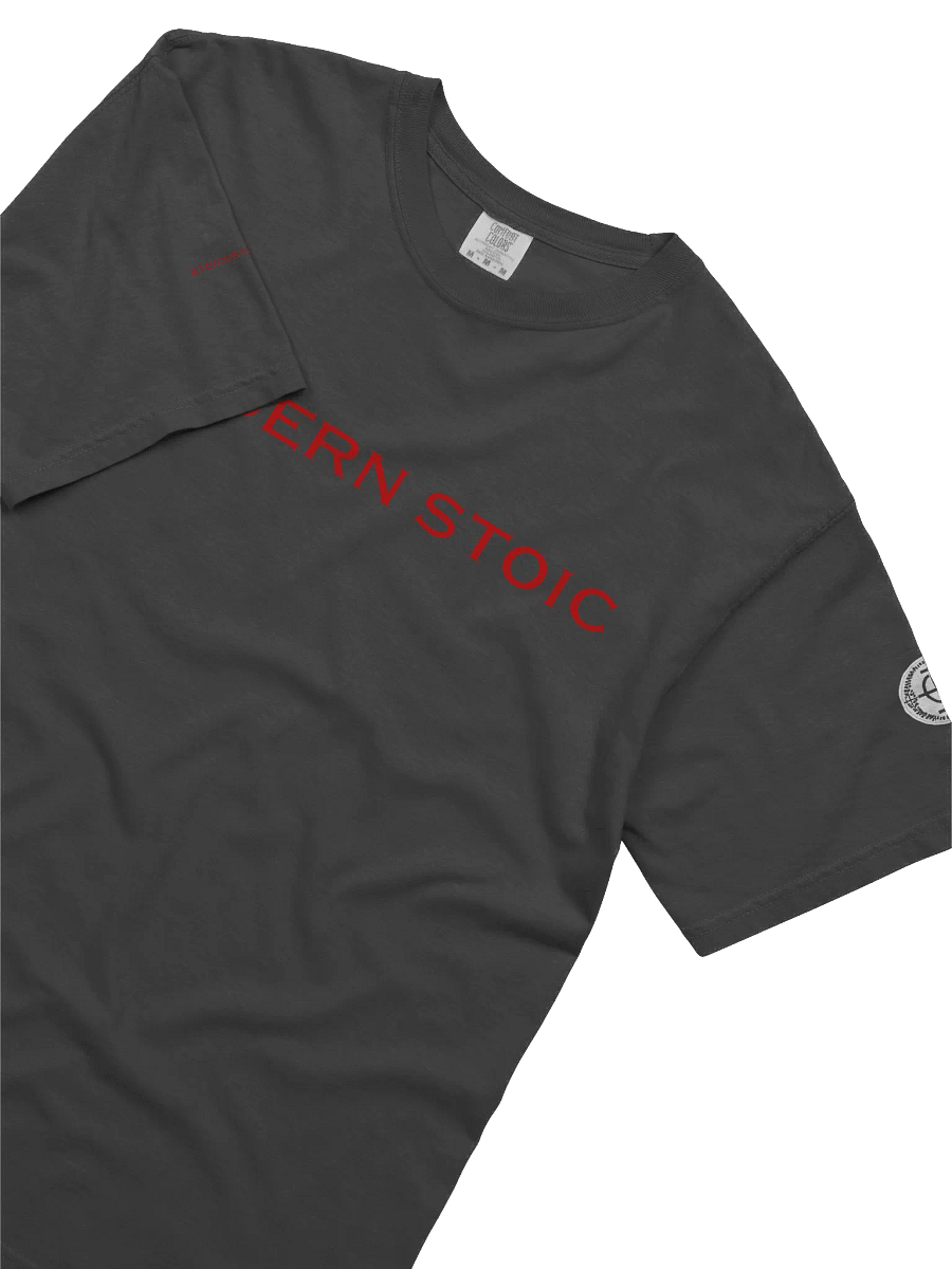Fortis Fortuna Adiuvat Tee product image (3)