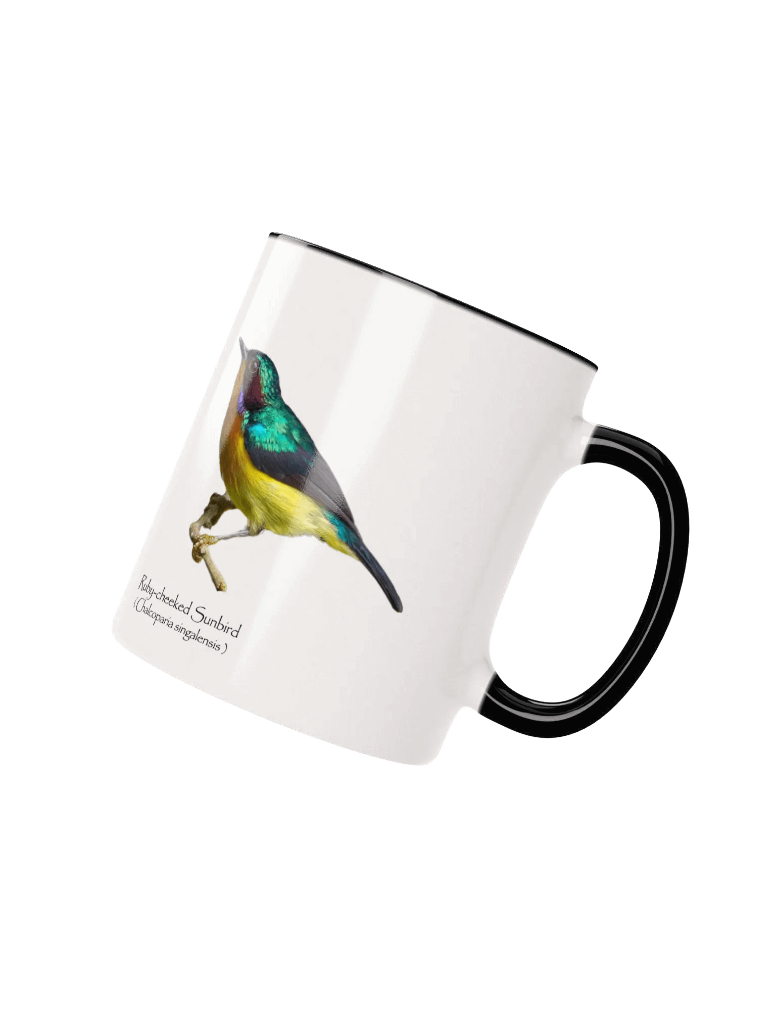 Ruby-cheeked Sunbird mug product image (13)