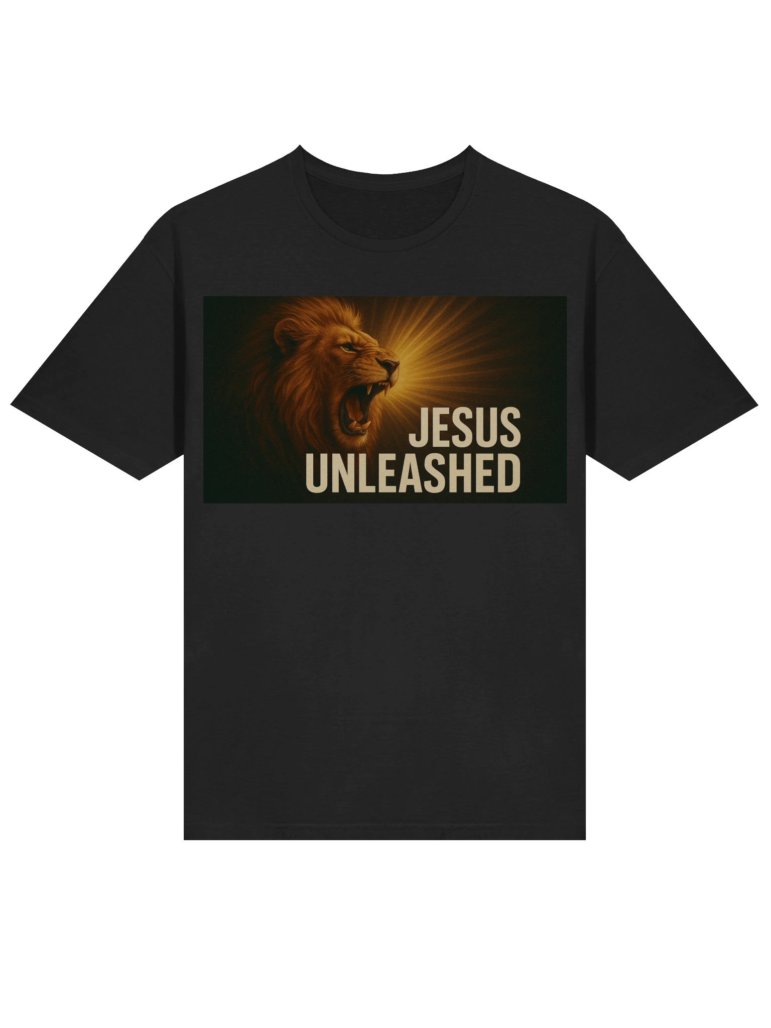 jesus unleashed product image (3)