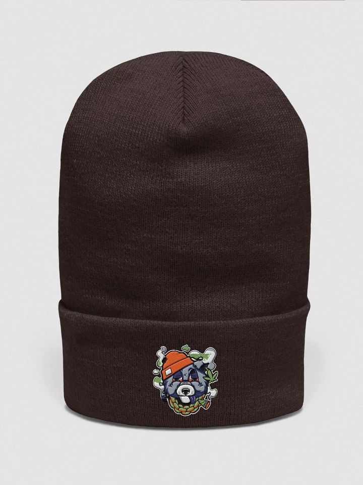 stone racoon Yupoon cuffed beanie product image (1)