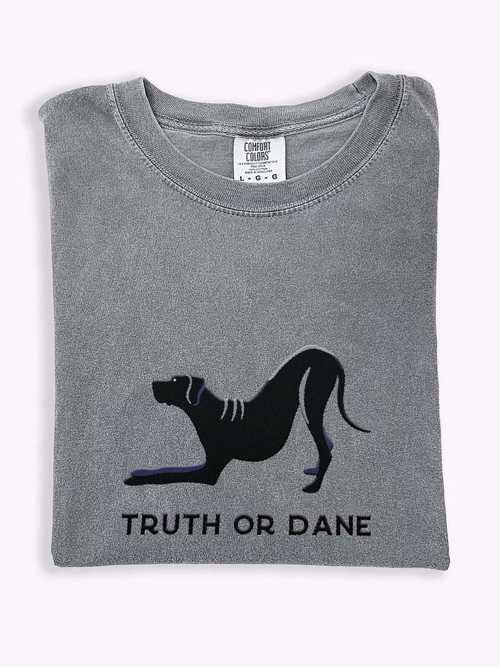 Truth or Dane T-Shirt(Embroidered) of a Great Dane(Black) product image (1)