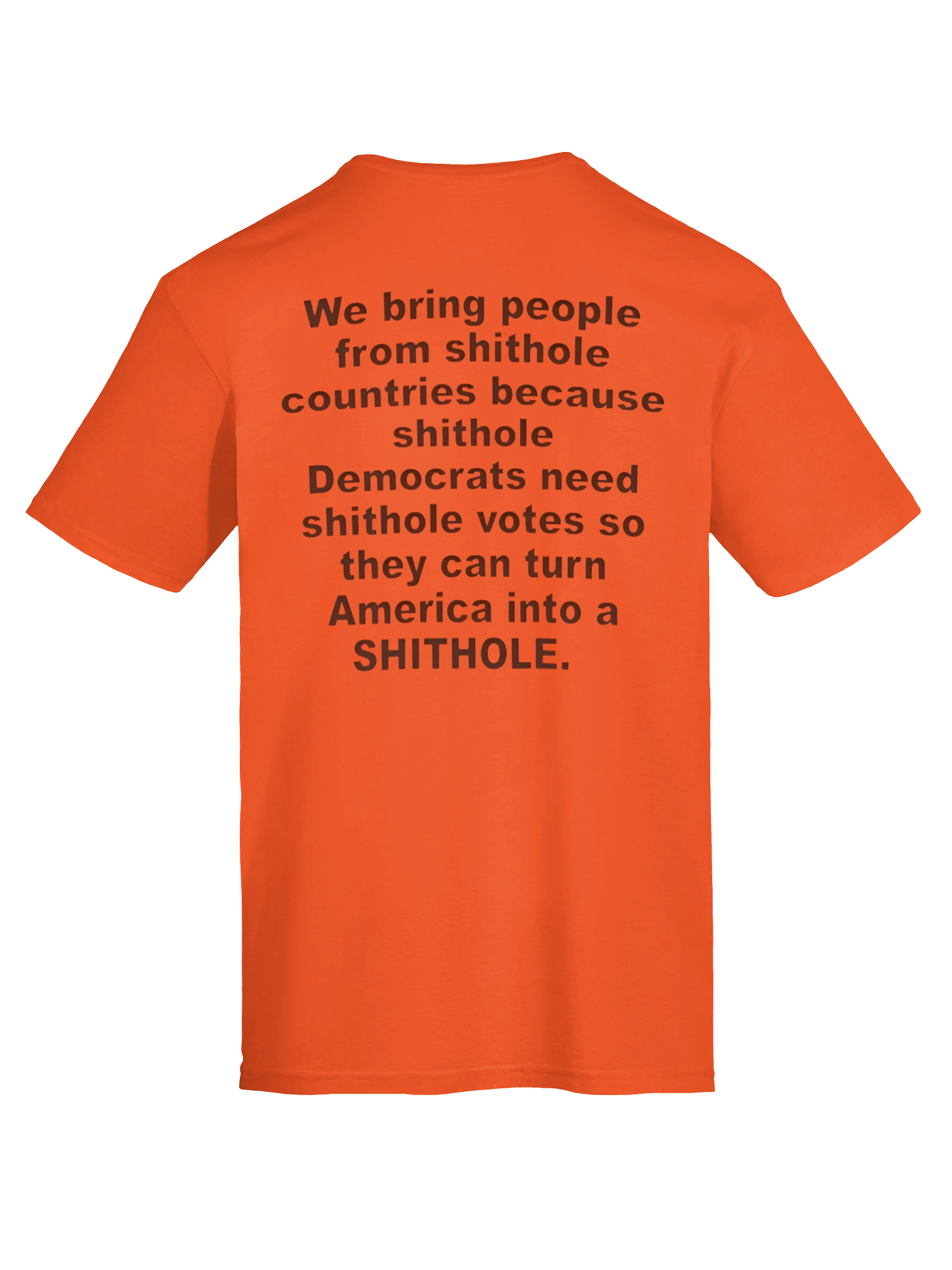 We Bring People From Shithole Countries Anti-Democrat Graphic Shirt product image (5)
