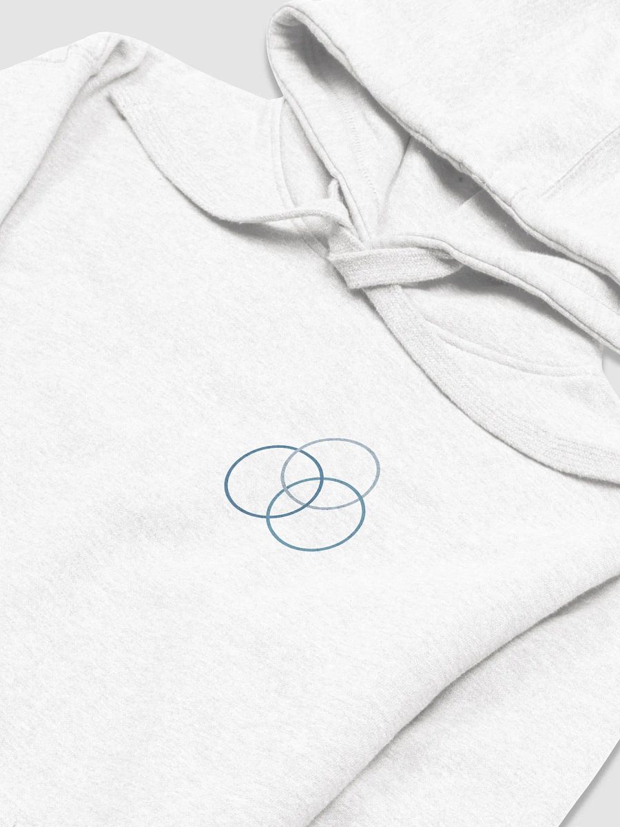 Kalkstein Chiropractic Comfort Hoodie (Blue Logo Print) product image (48)