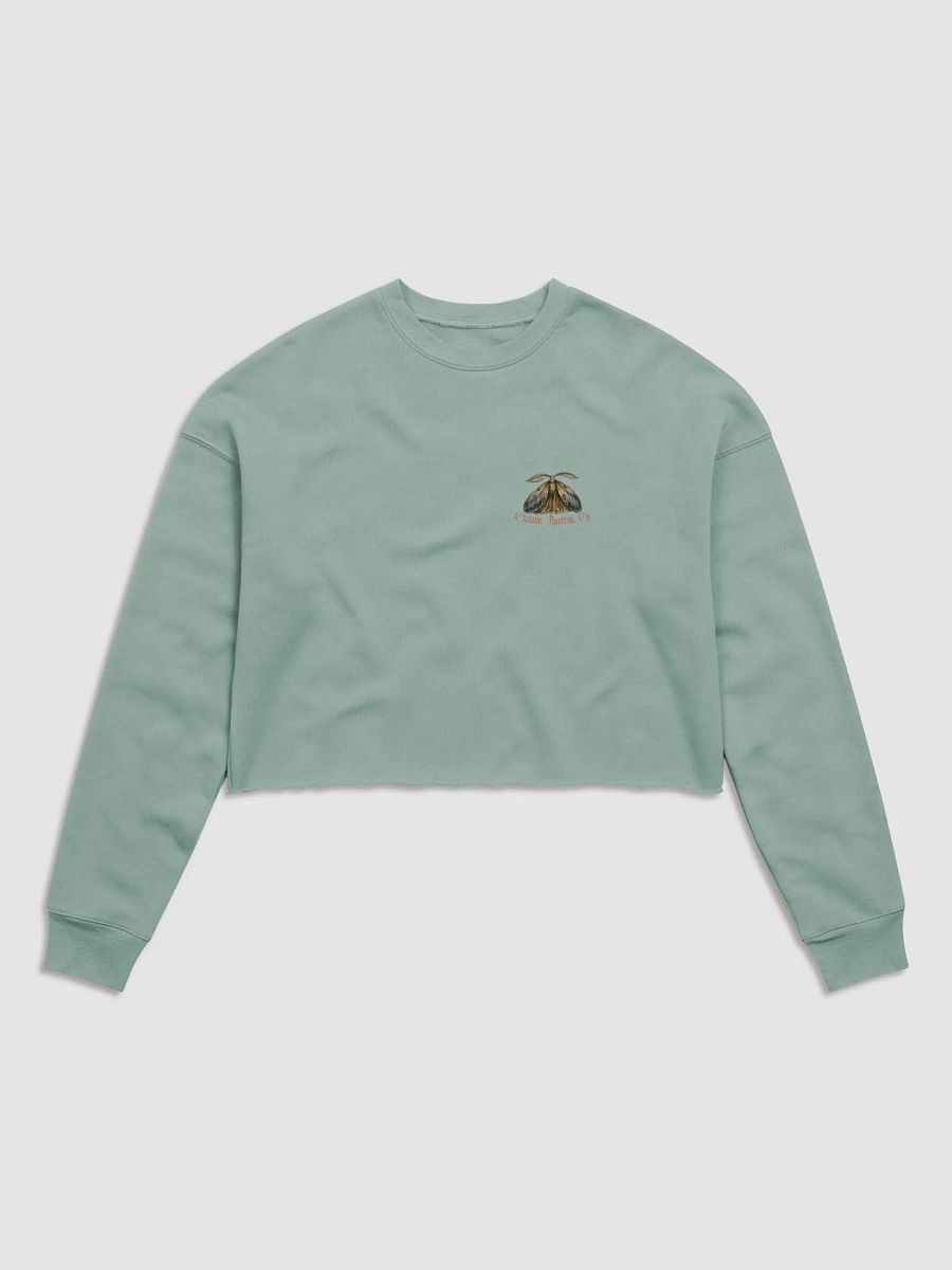 Rebirth Cropped Sweat (Blush Script) product image (2)