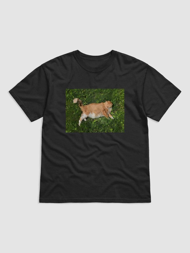 Sun Bathing Boy Tee product image (1)