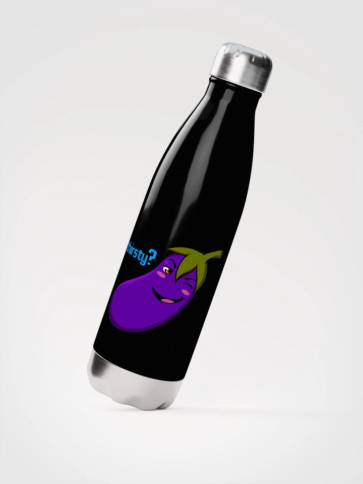 Premium Eggplant Stainless Steel Bottle product image (2)