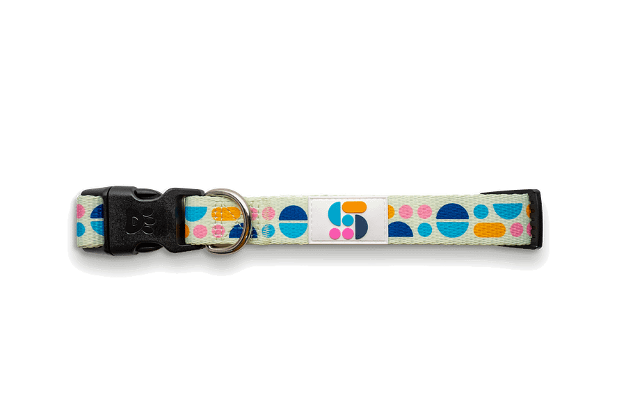 Studio Dog Collar product image (3)