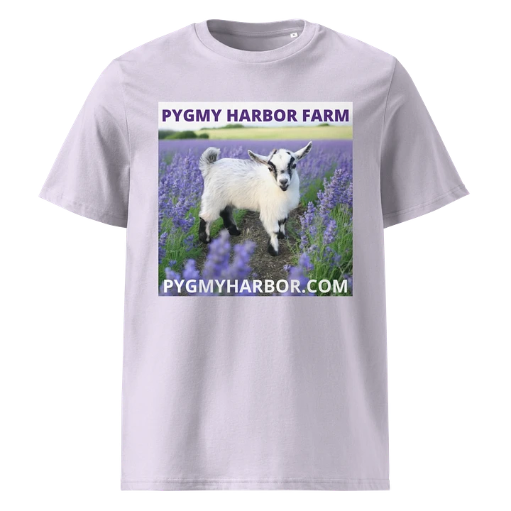 ADULT PYGMY GOAT T-SHIRT product image (1)