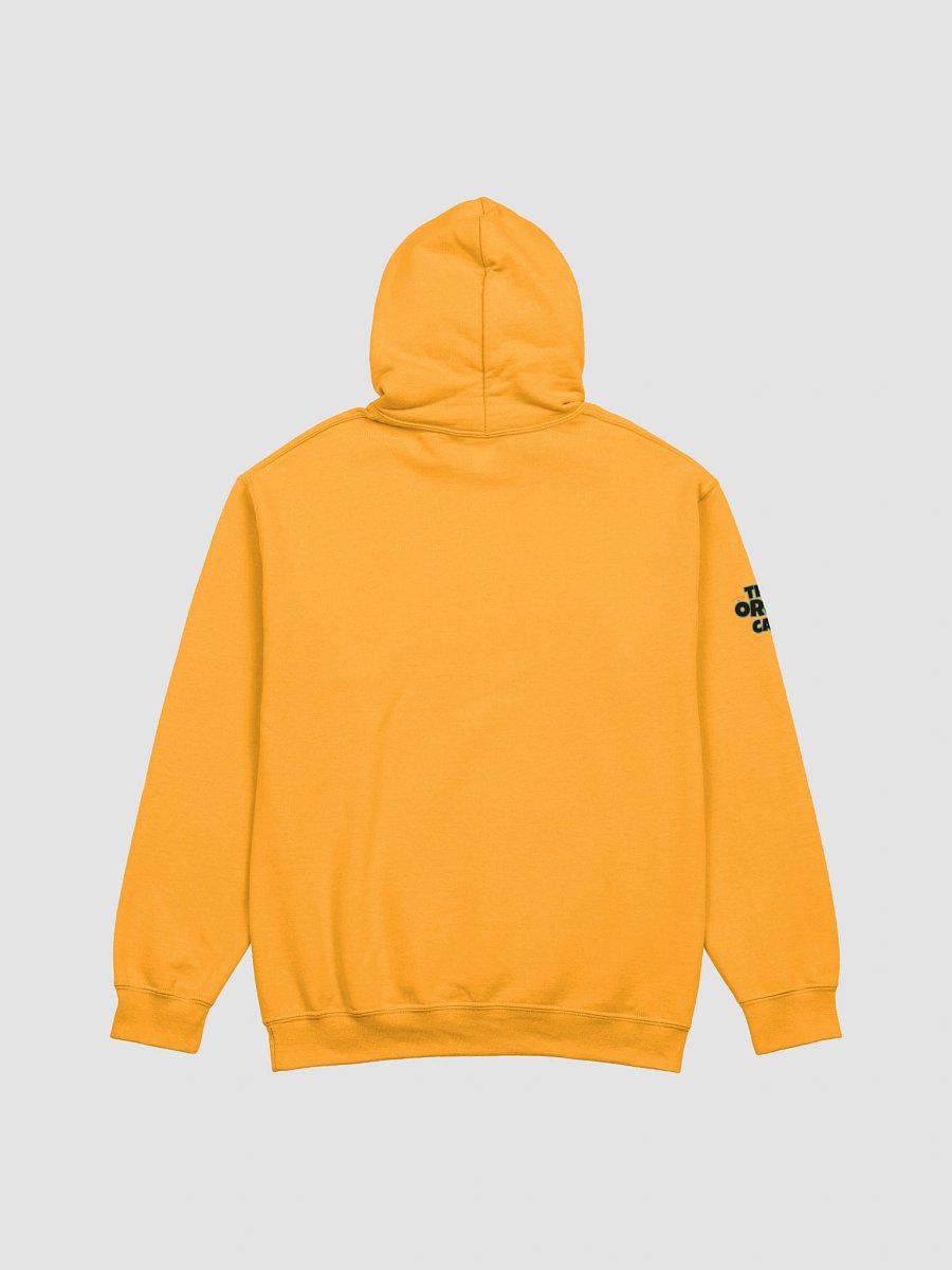 Pawsitivity Hoodie product image (2)