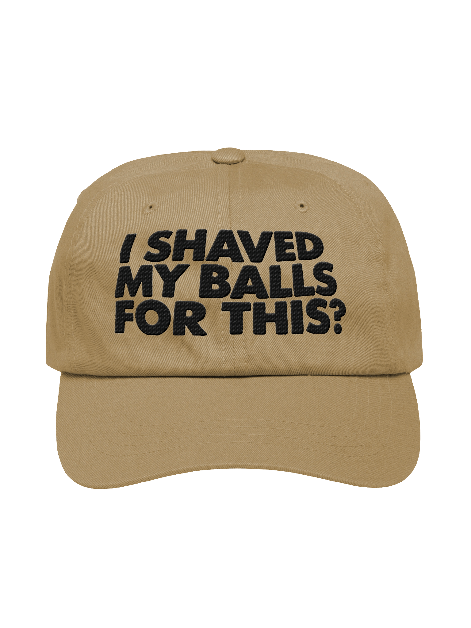 I Shaved My Balls For This? Embroidered Dad Hat product image (1)