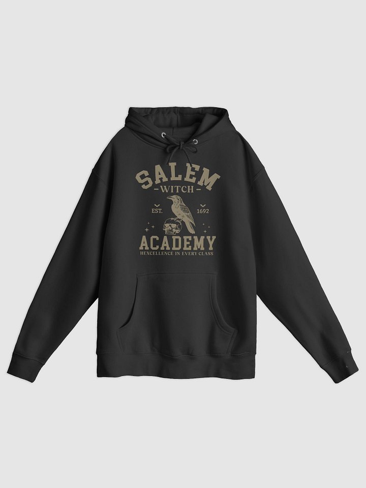 Salem Witch Academy Premium Hoodie product image (2)