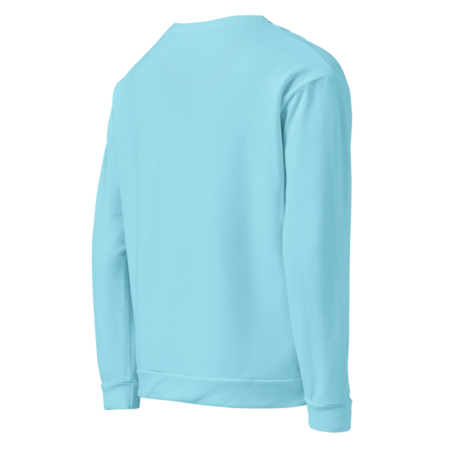 Light Blue Solid Color Eco Friendly Unisex Sweatshirt product image (5)