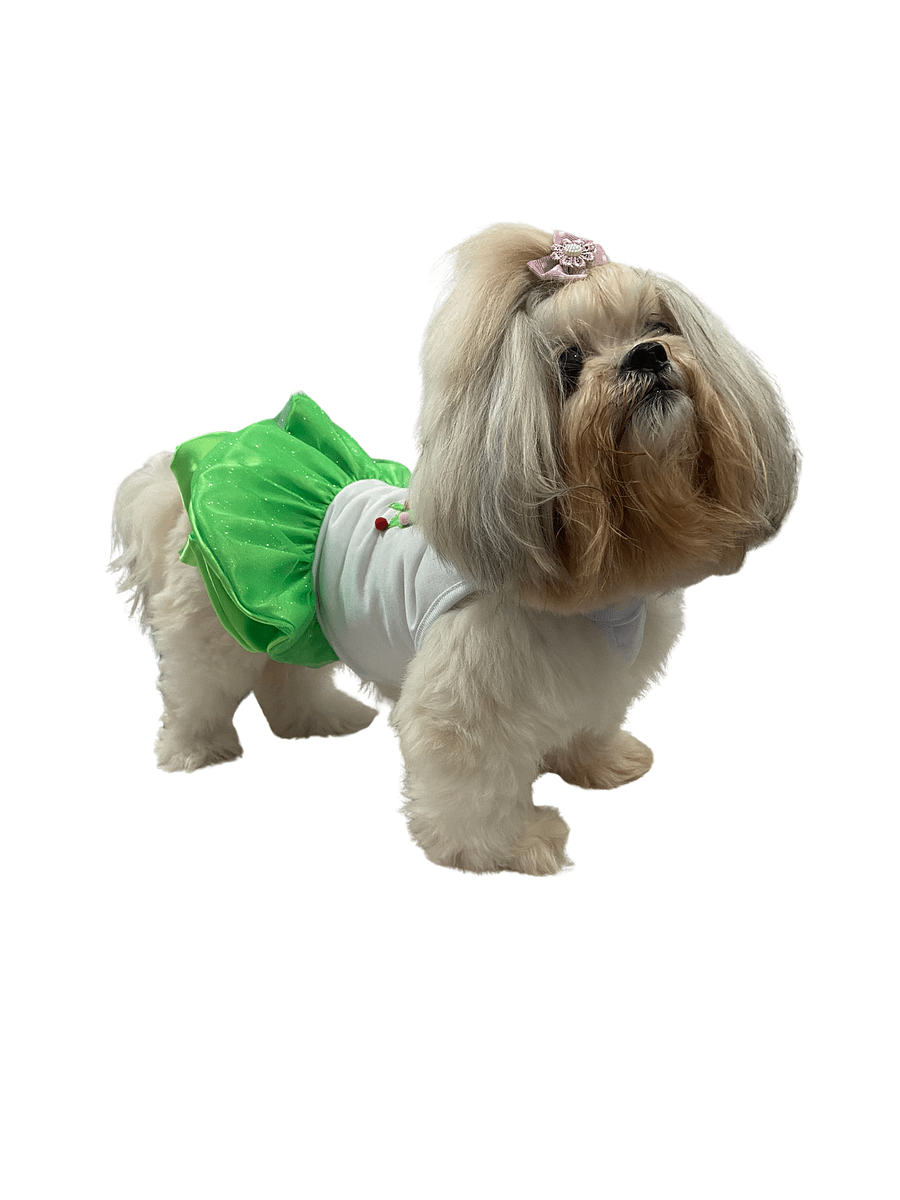 Vestido Encanto de Natal - Modelagem Pet PDF product image (4)