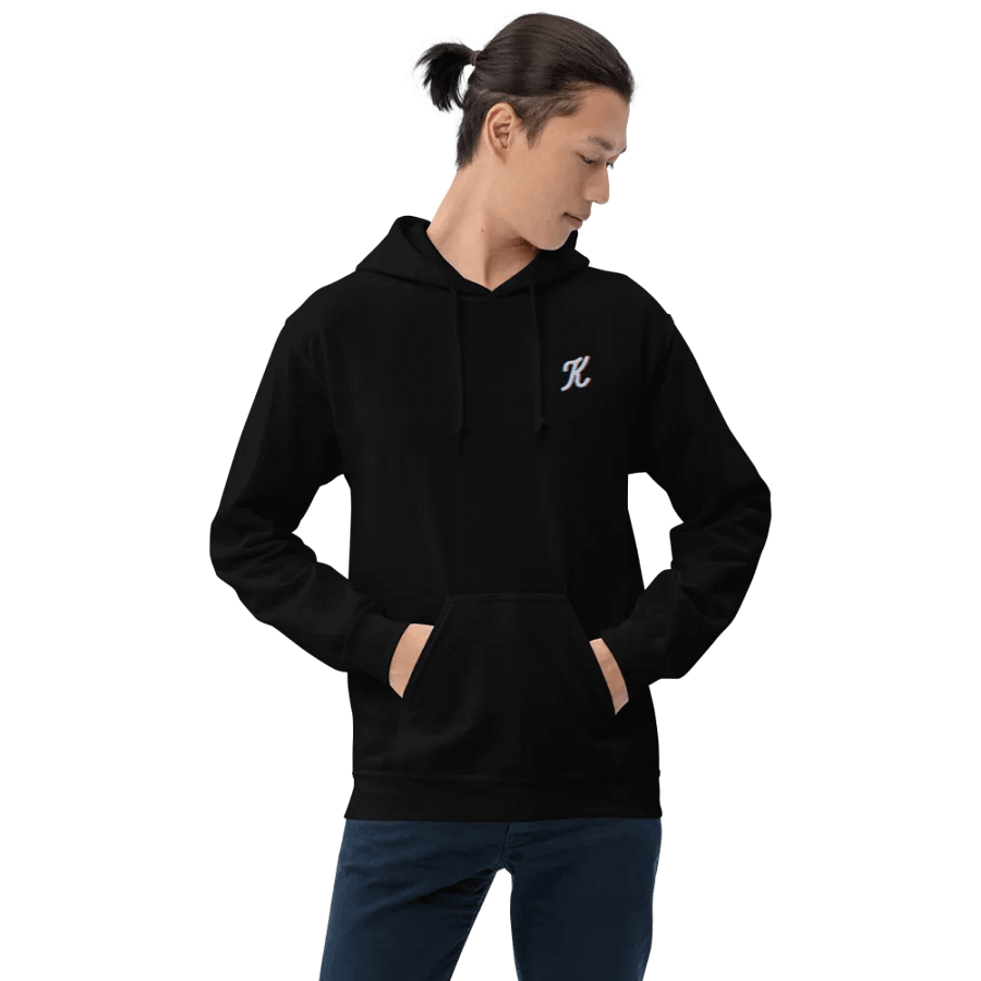 Embroidered Hoodie product image (12)