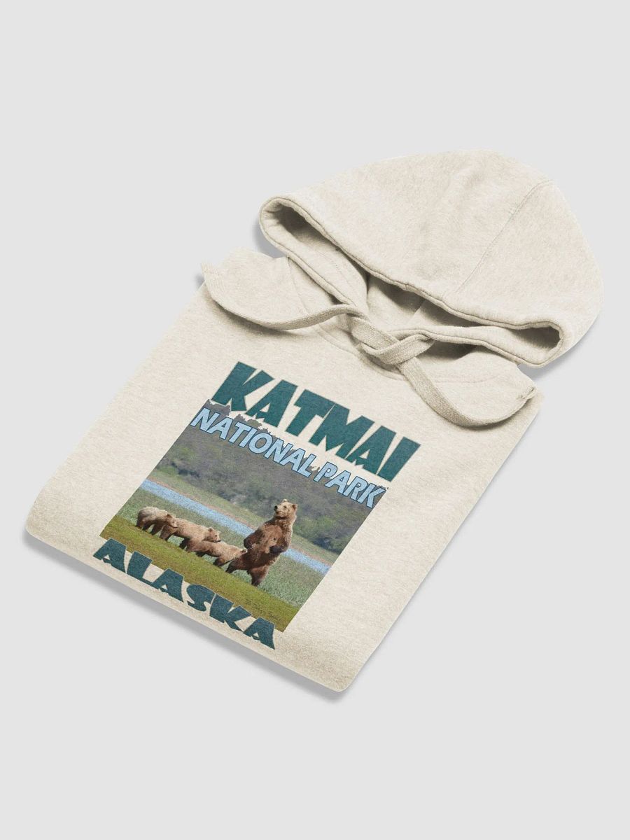 Katmai National Park Bear Family Hoodie product image (80)