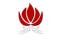 Grounded Fire