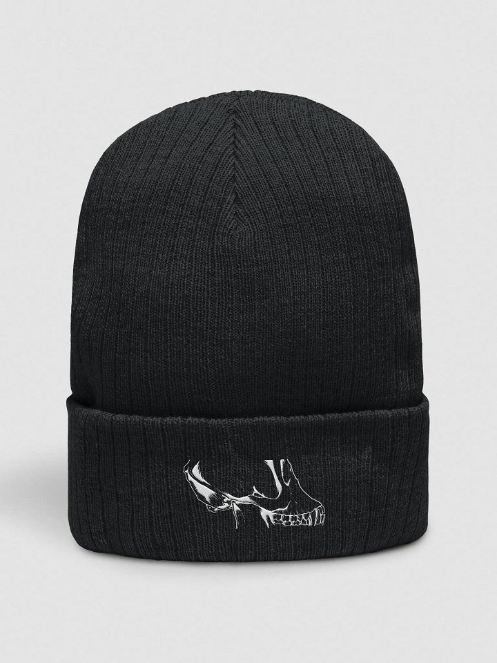 Embroidered ZOIC Skull Beanie product image (1)