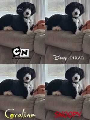 OMG he is soooo cute in any world! Okay maybe Coraline could use some work lol 😍🥹🐶 #puppytok #puppy #dogtok #beepsquad #ai #CapCut 