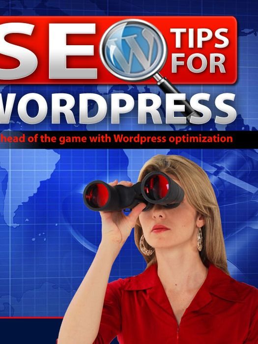 SEO Tips for Wordpress product image (2)