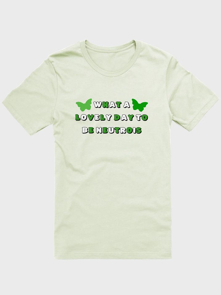 what a lovely day to be neutrois t-shirt product image (1)