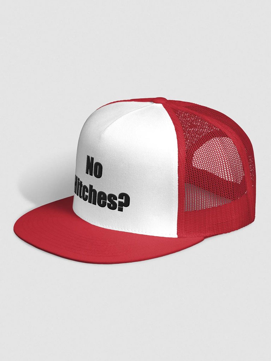 No Hitches? Trucker Hat product image (4)