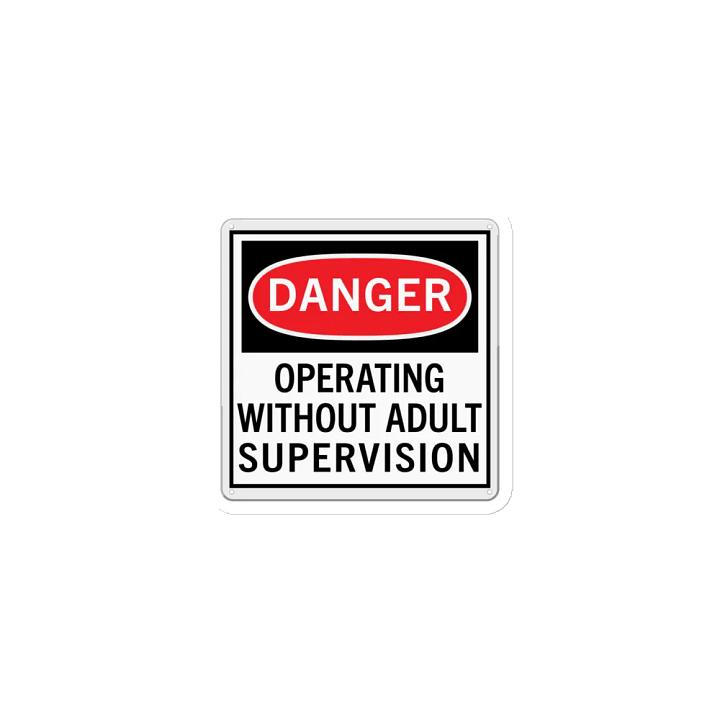 Adult Supervision Magnet product image (1)