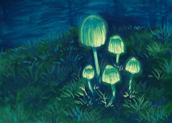 Glowy Mushrooms - Poster Print product image (1)