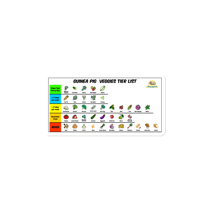 Guinea Pig Veggies Tier List – Fridge Magnet product image (2)