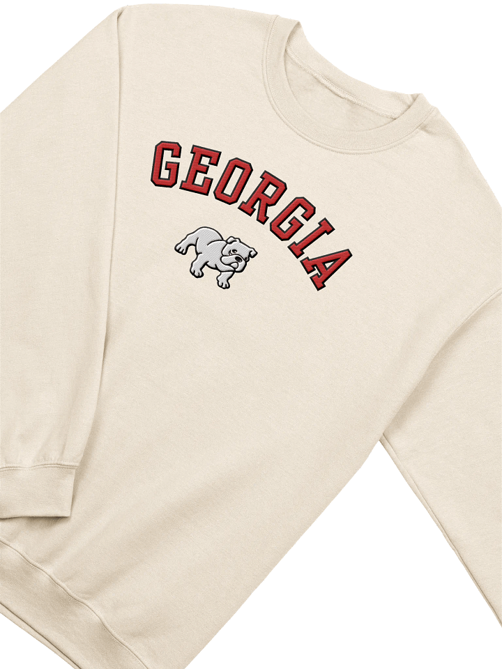 Embroidered Georgia Sweatshirt product image (6)
