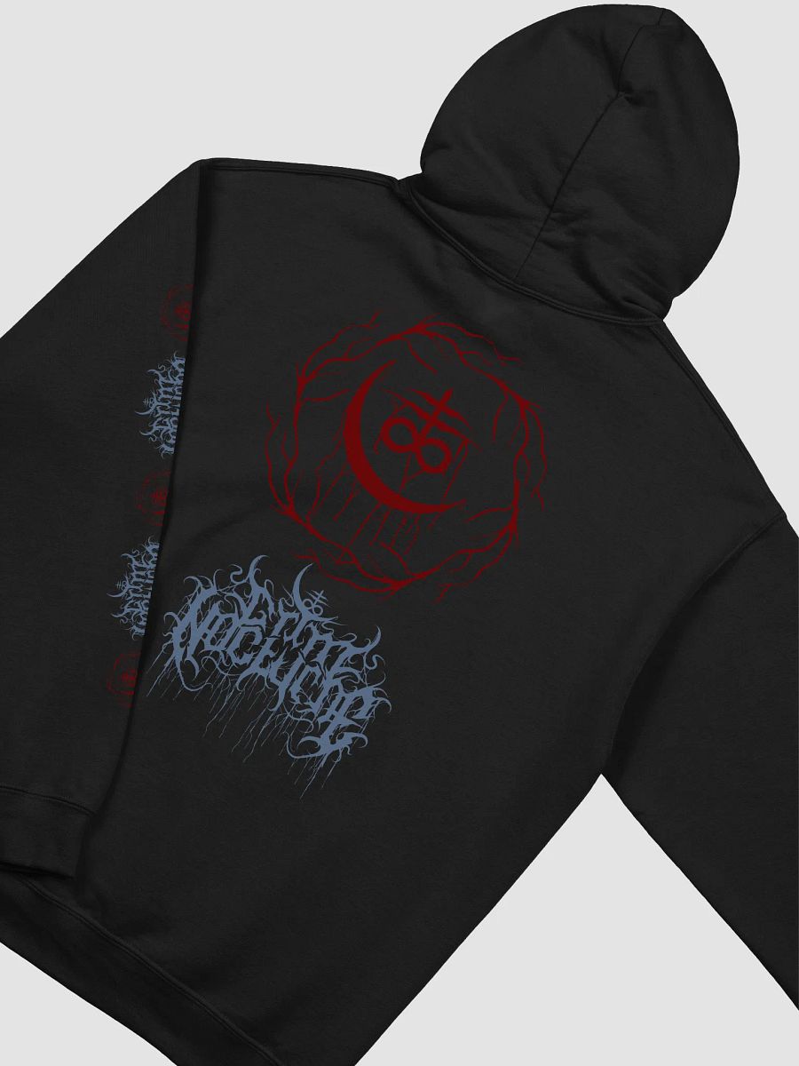 The Ritual Hoodie product image (4)