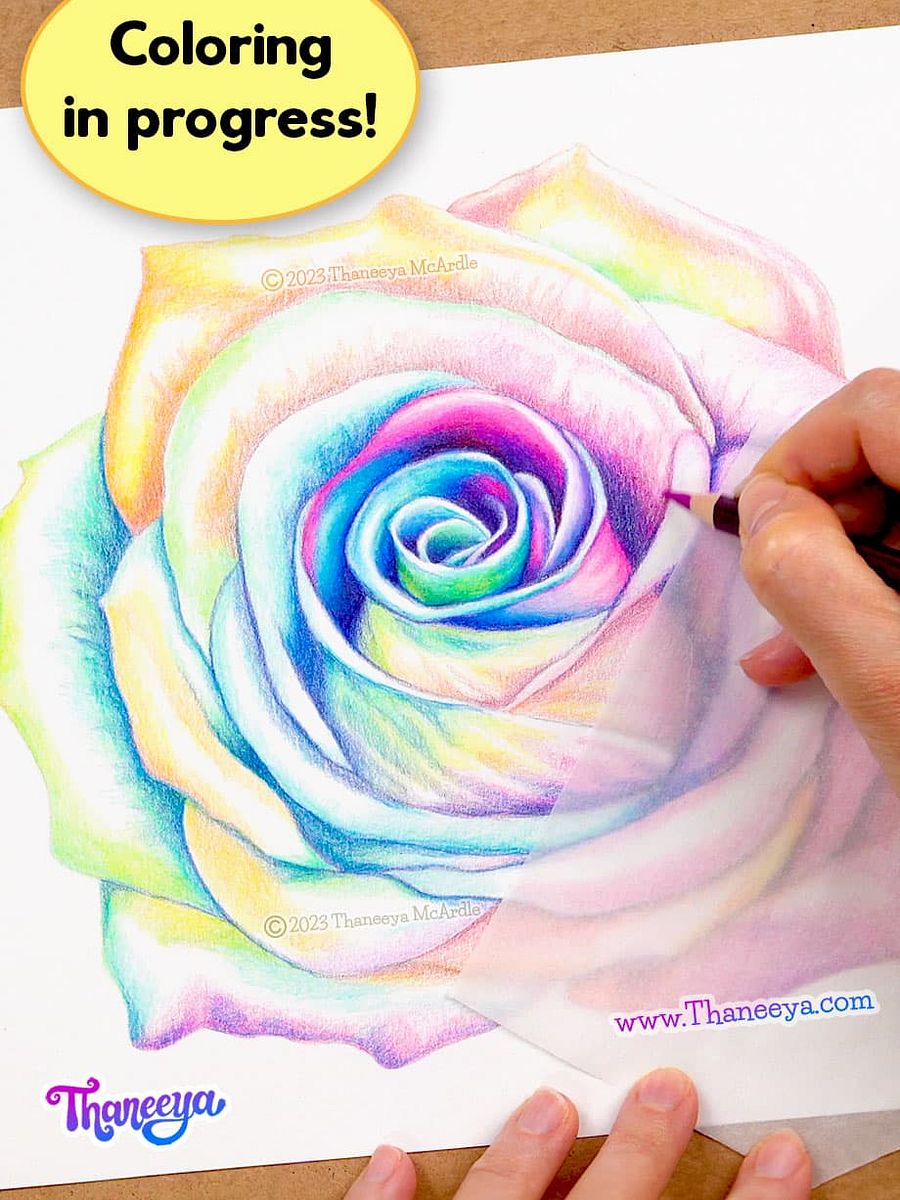 Rose - Single Coloring Page product image (4)
