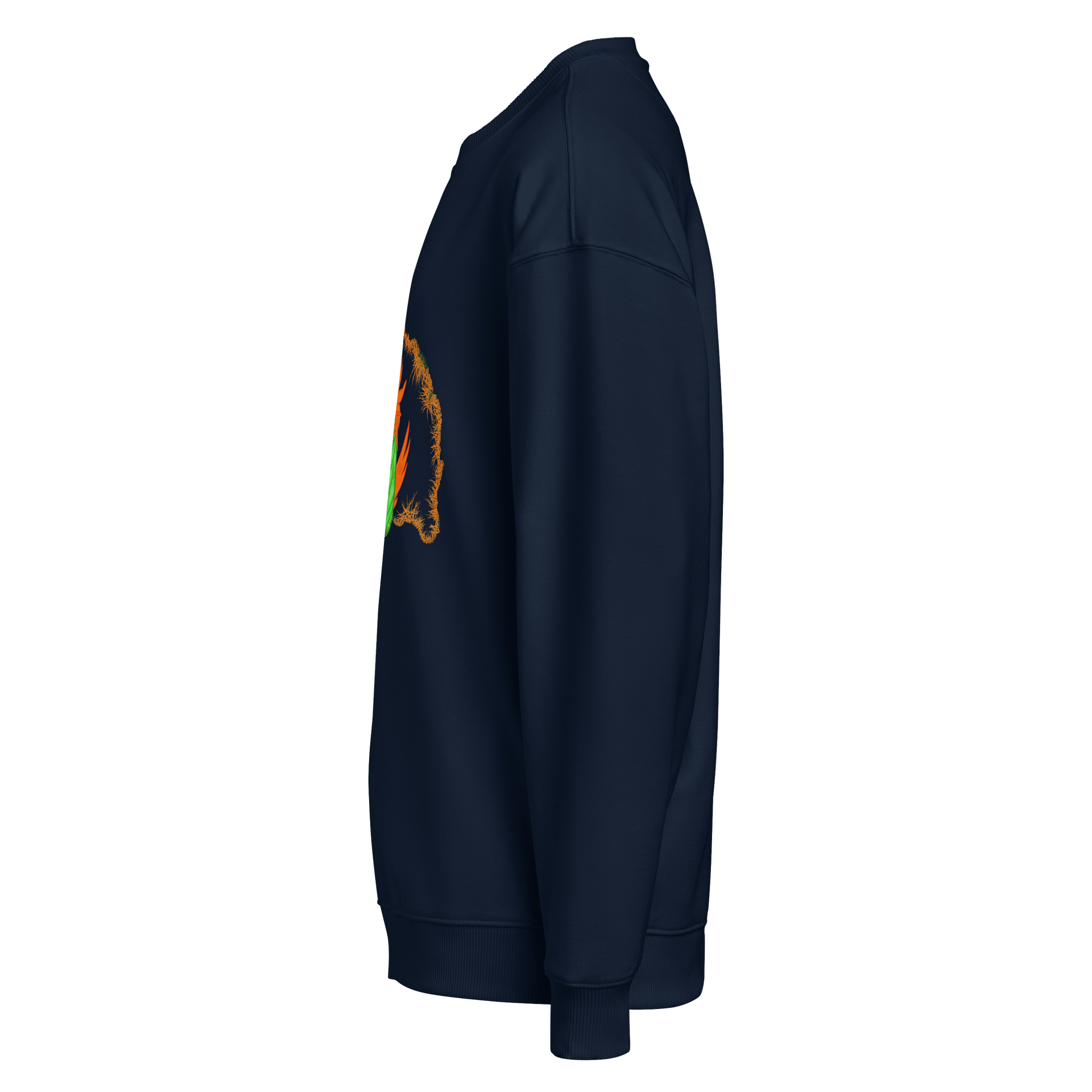 Dragon's Breath Organic Oversized Sweatshirt product image (3)