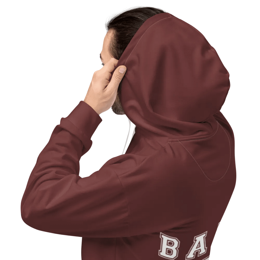 Band Geeks Rule Hoodie | Maroon product image (5)