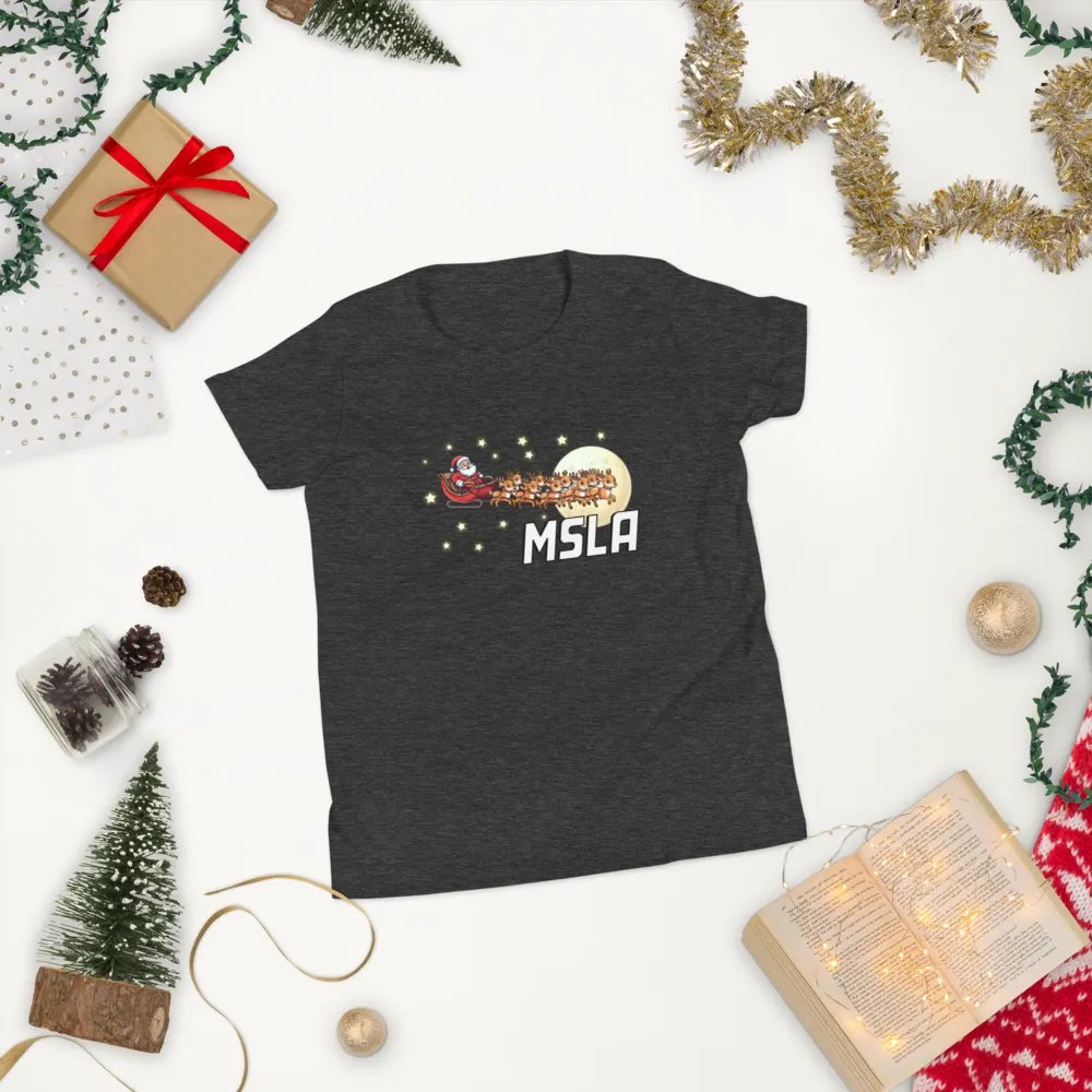 MSLA Holiday Sleigh Ride Kids T-Shirt product image (1)