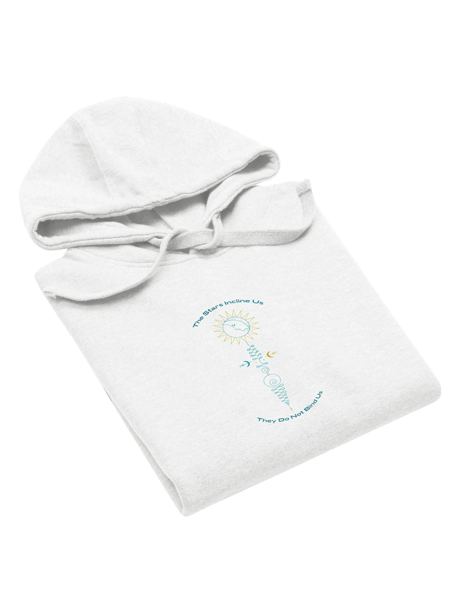 Aspiration Cozy Cotton Comfort Hoodie product image (2)