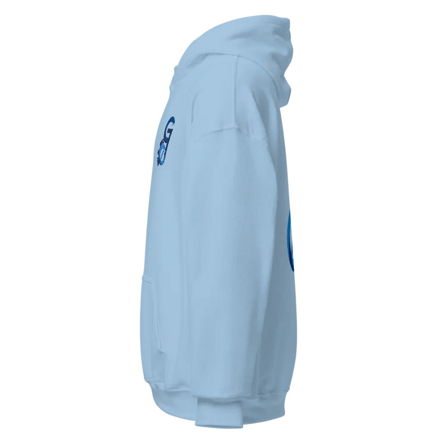 Sulsa07G Embroidered Hoodie product image (3)