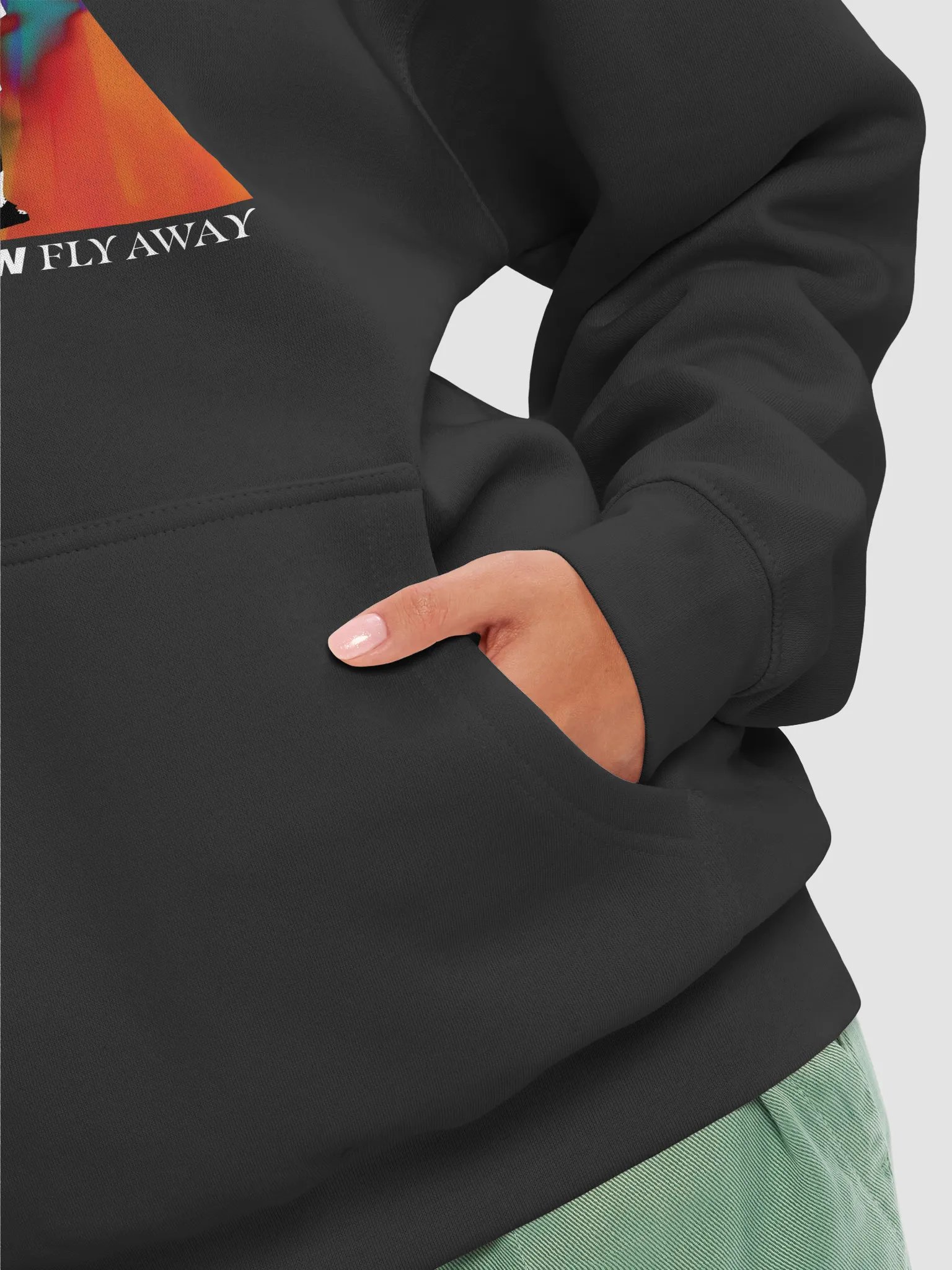 Fly Away Pullover Hoodie product image (8)