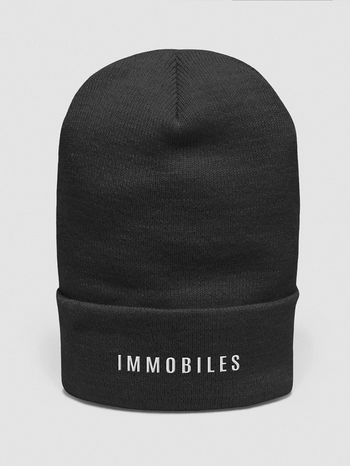 Immobiles Beanie product image (1)
