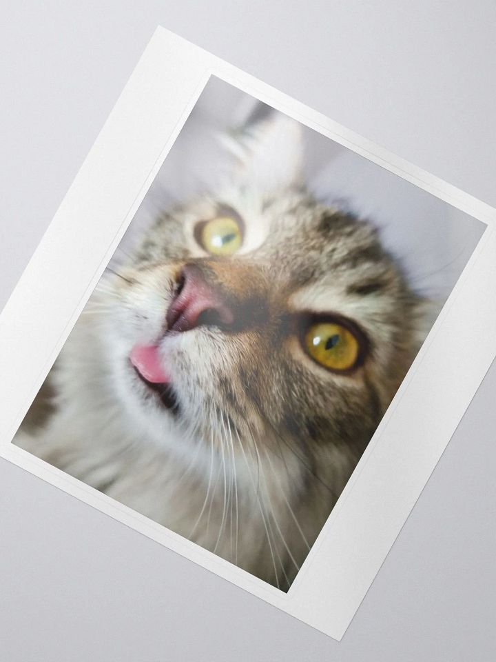 FidgGOON Sticker product image (2)