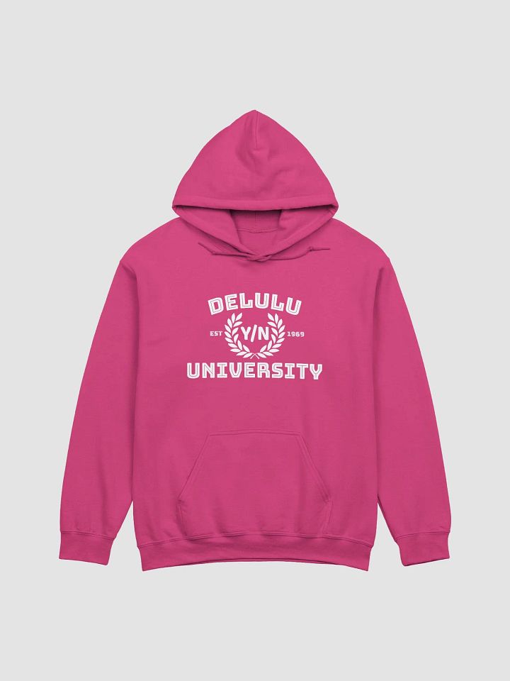 CerberosVA Delulu University Hoodie product image (1)