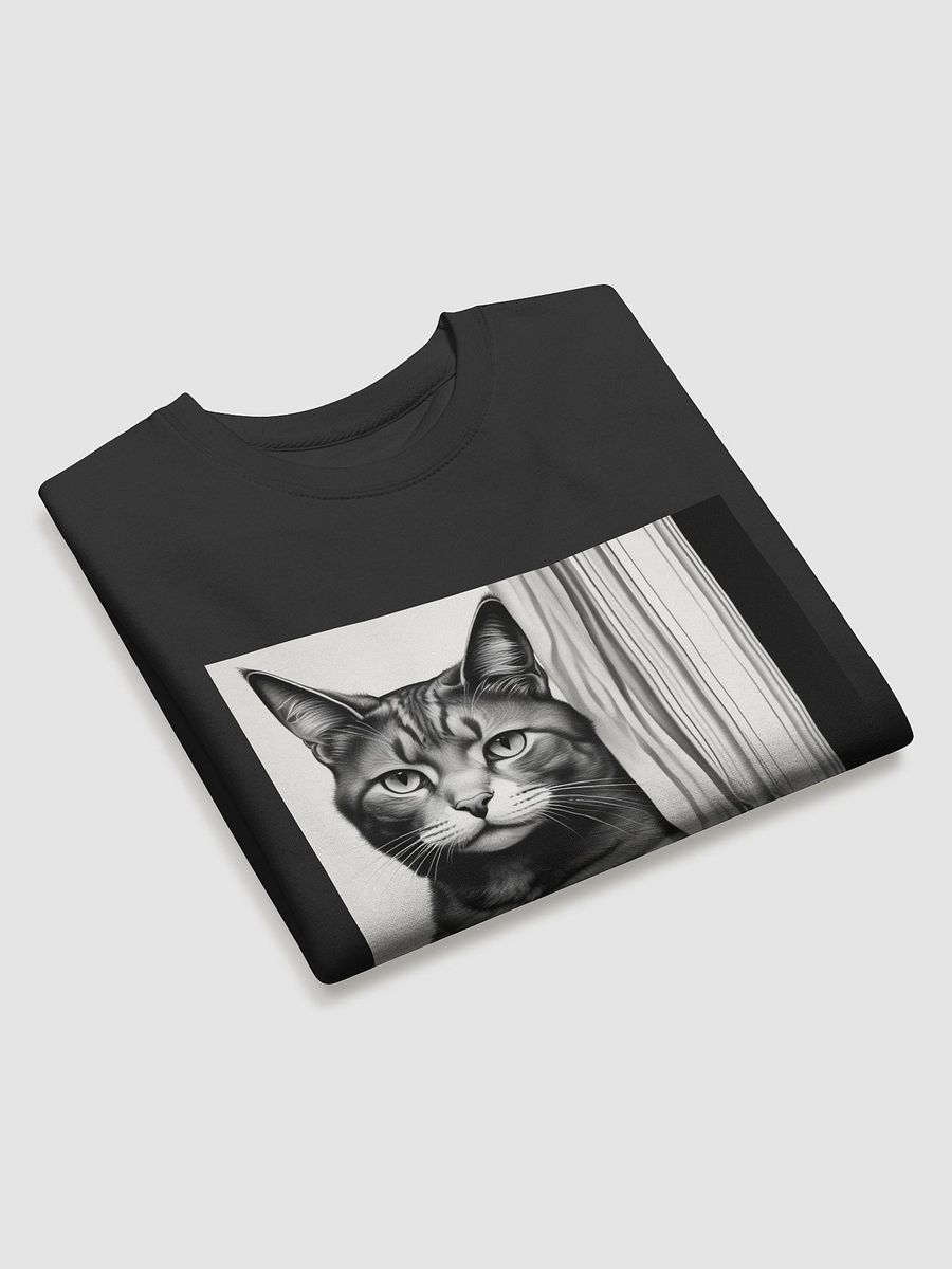 Cat product image (29)